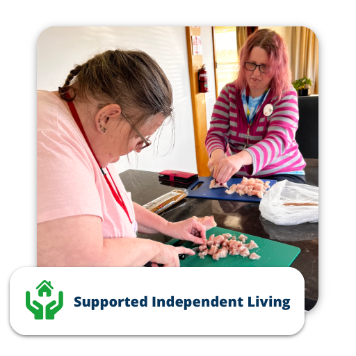 Supported Independent Living Image Button